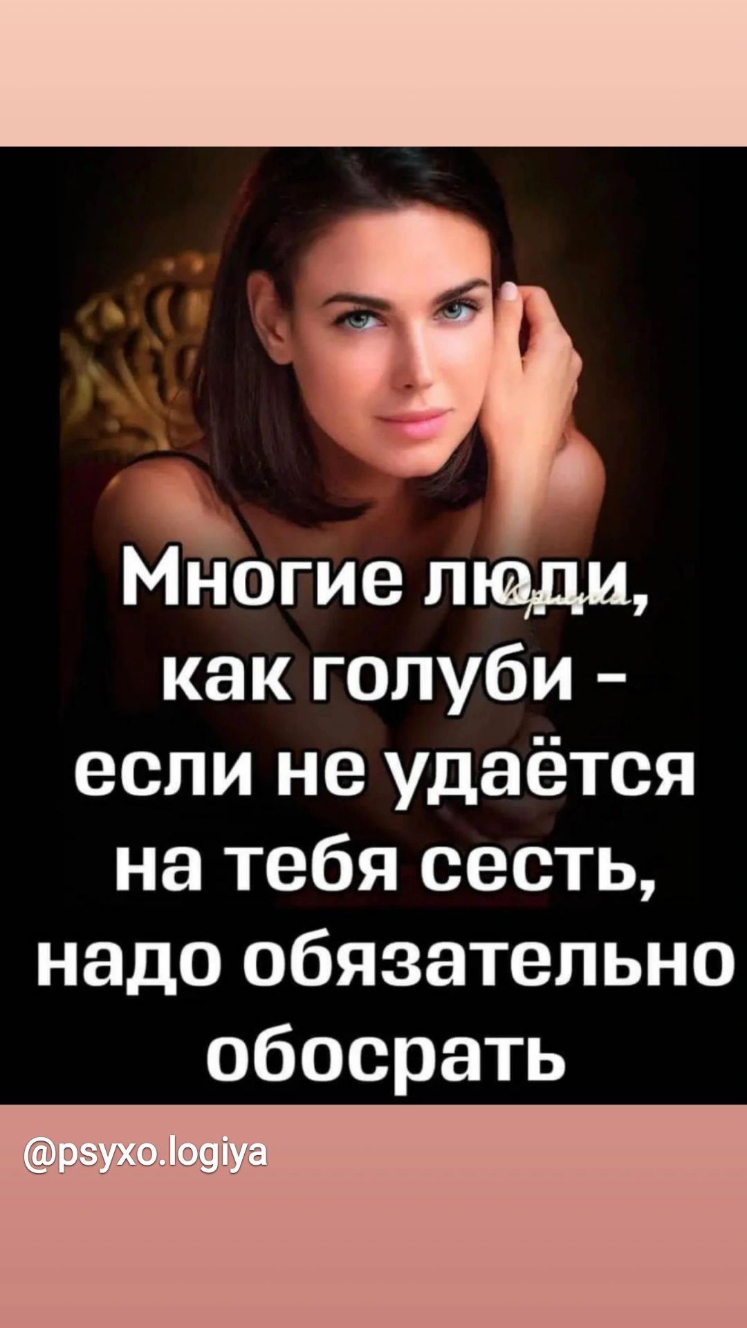 Многие пщди как голуби если не удаётся на тебя сесть надо обязательно обосрать