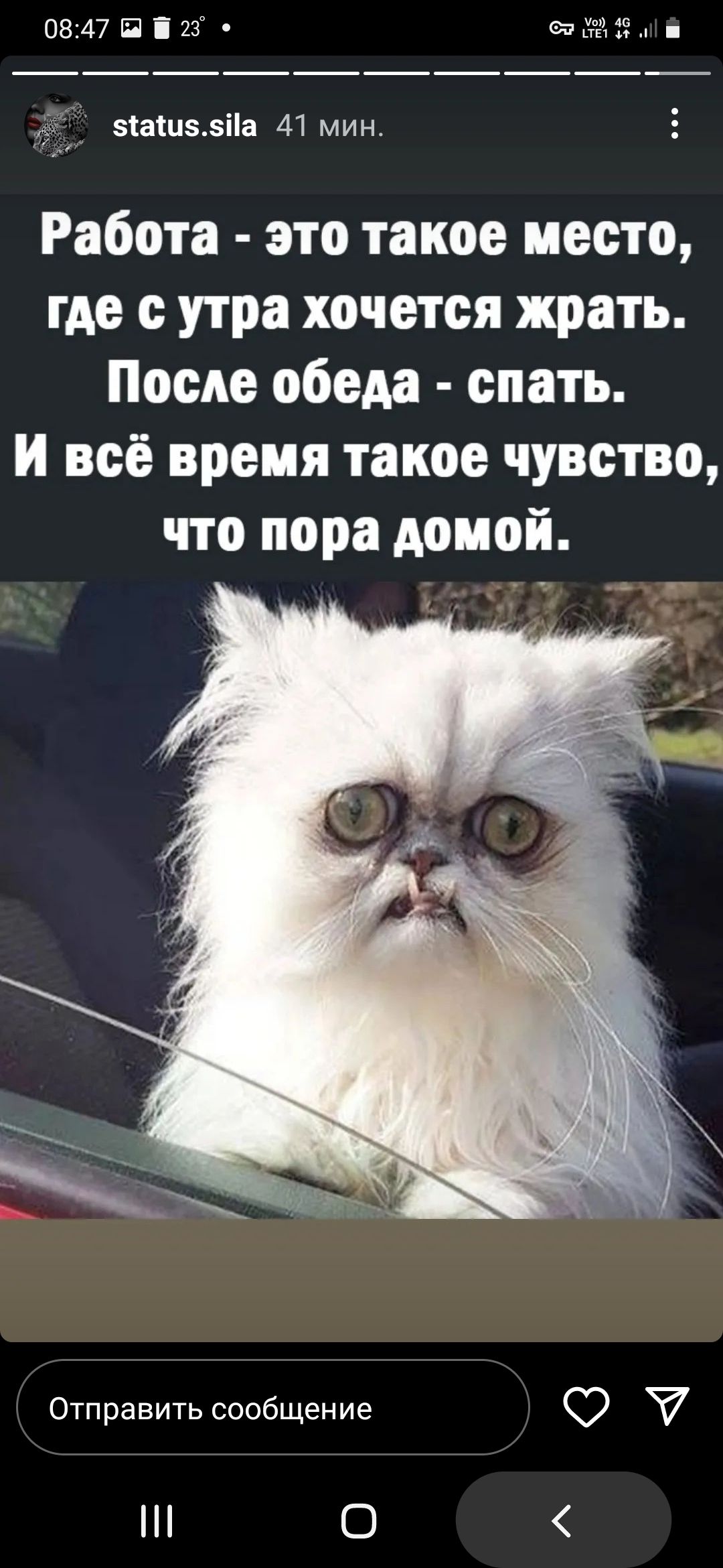 0847 Б 25 зташедПа 41 мин Работа это такое место где с утра хочется жрать После обеда спать и всё время такое чувство что пора домой Отправить сообщение О