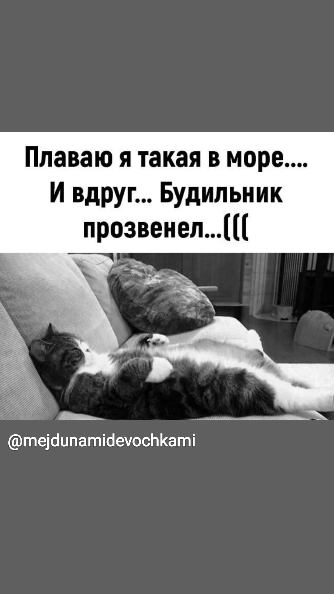 Плаваю я такая в море И вдруг Будильник прозвенел теісшпатіаечоспКаті