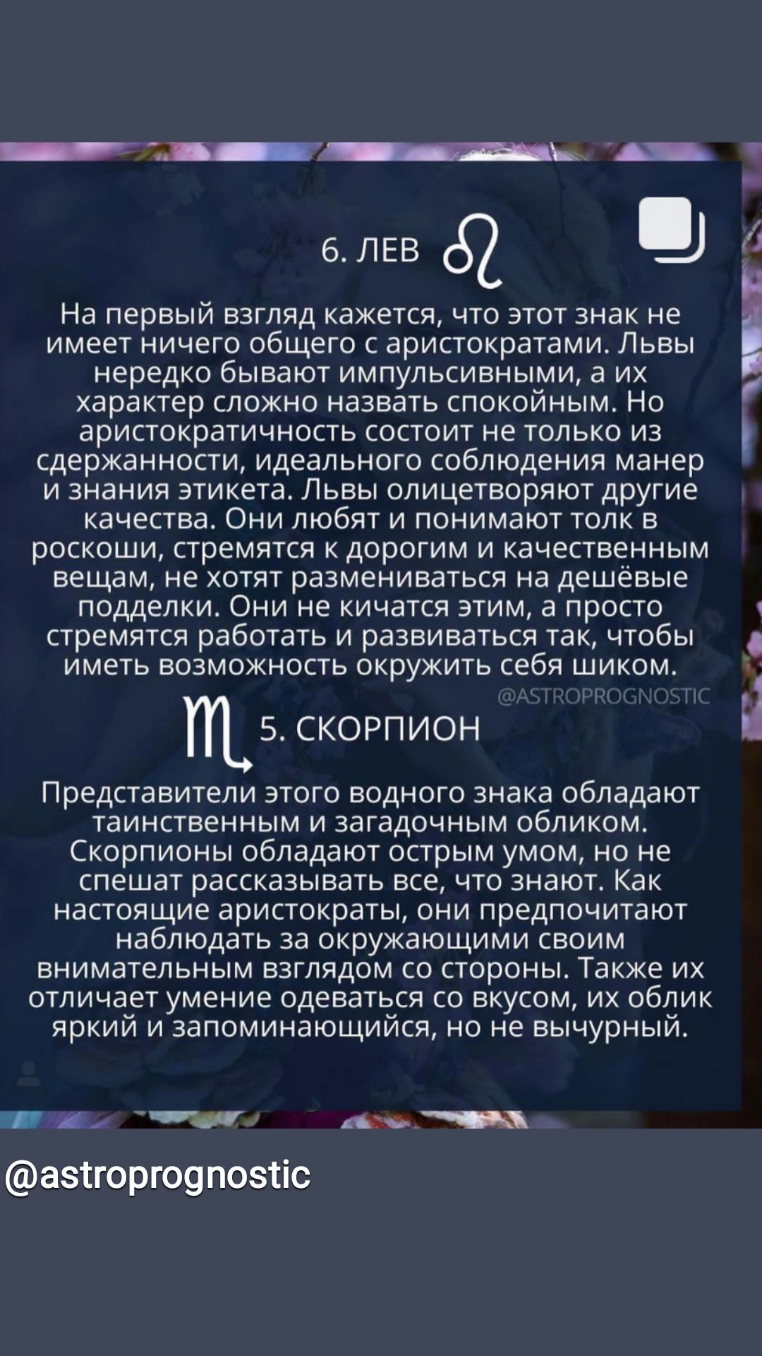 6 ЛЕВ 62 На первый взгляд кажется что этот знак не имеет ничего общего с аристократами Львы нередко бывают импульсивными а их характер сложно назвать спокойным Но зристократичность состоит не только из сдержанности идеального соблюдения манер и знания этикета Львы олицетворяют другие качества Они любят и понимают толк в роскоши стремятся к дорогим и качественным вещам не хотят размениваться на деш