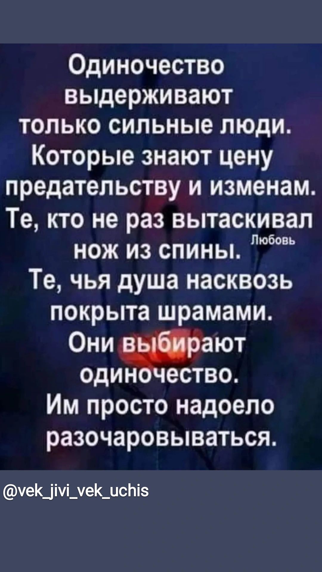 Одиночество выдерживают только сильные люди Которые знают цену предательству и изменам Те кто не раз вытаскивал нож из спины б Те чья душа насквозь покрыта шрамами Они фам один ество Им просто надоело разочаровываться чеКд ічі_е_ис1із