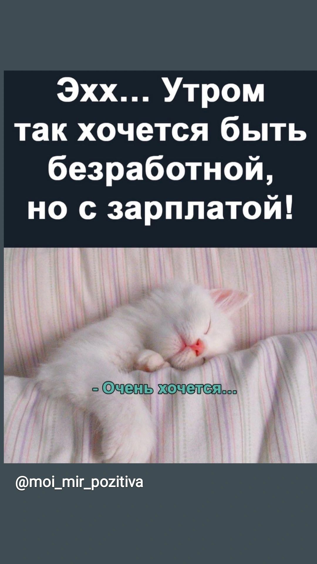 Эхх Утром так хочется быть безработной но с зарплатой то_тіг_р02па