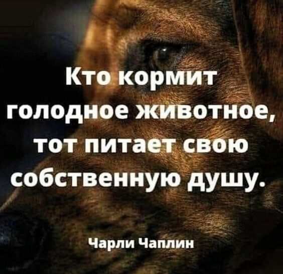 мйт голодное ЯЁотЁе тот пита ю собствеинупудушу Чарли Чапіідии