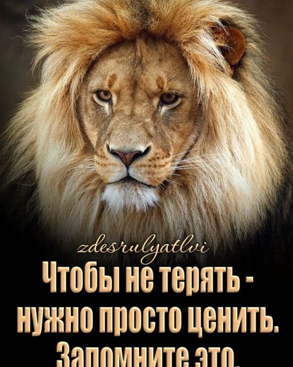 сё шЁю Чтобы не тепять нужно ппосто ценить Зяппмнитн эт