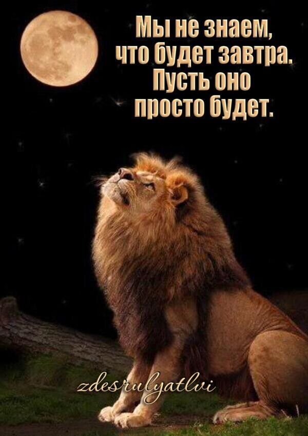 Мы не знаем что будет завтра пусть оно ппосто будет