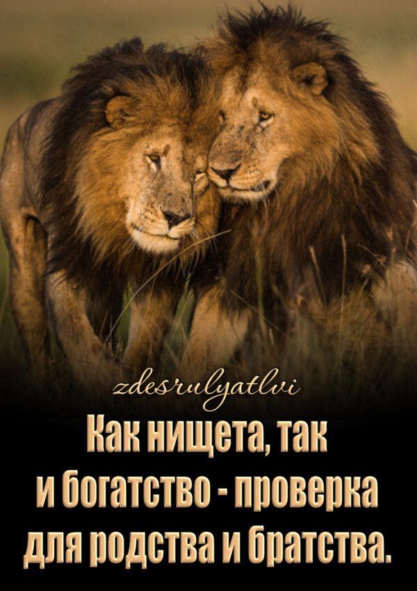 _ дд её на нищета так И ШШПЁТВП ШШВЕШЮ дЛЯ подства И ппатства