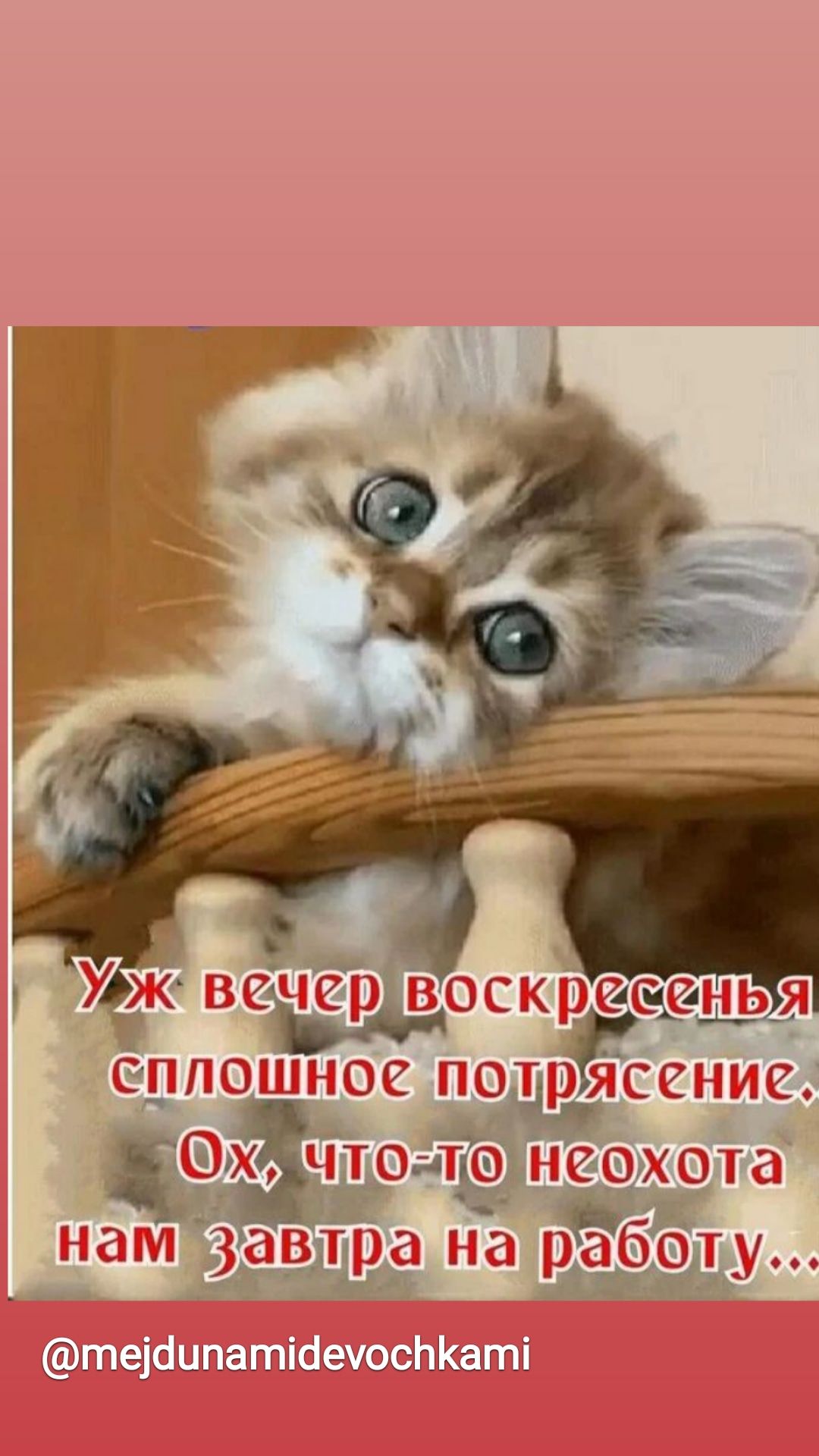 ЩЁНКЫЫПП