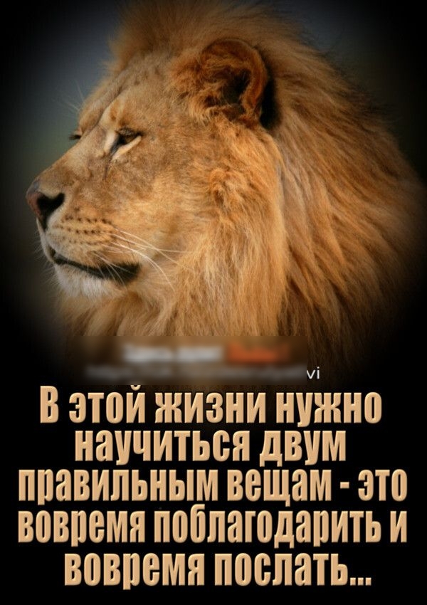и В эти ЖИЗНИ НИПНИ НИУЧИТЬСИ двум ППЯВИПЬНЫМ вещам ЗП ВПВШЗМН ПППИЗШДЗПИТЪ И ВИВПВМП поспать