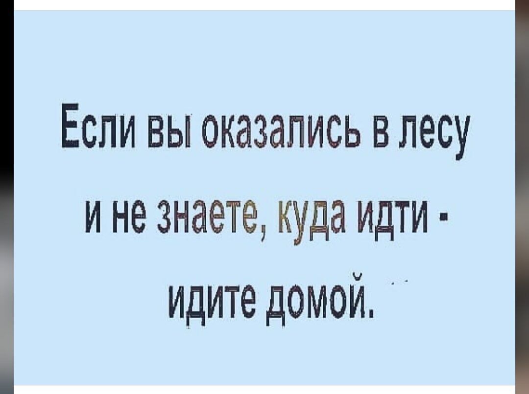 Если вы оказались влесу и не знаете куда идти идите домой