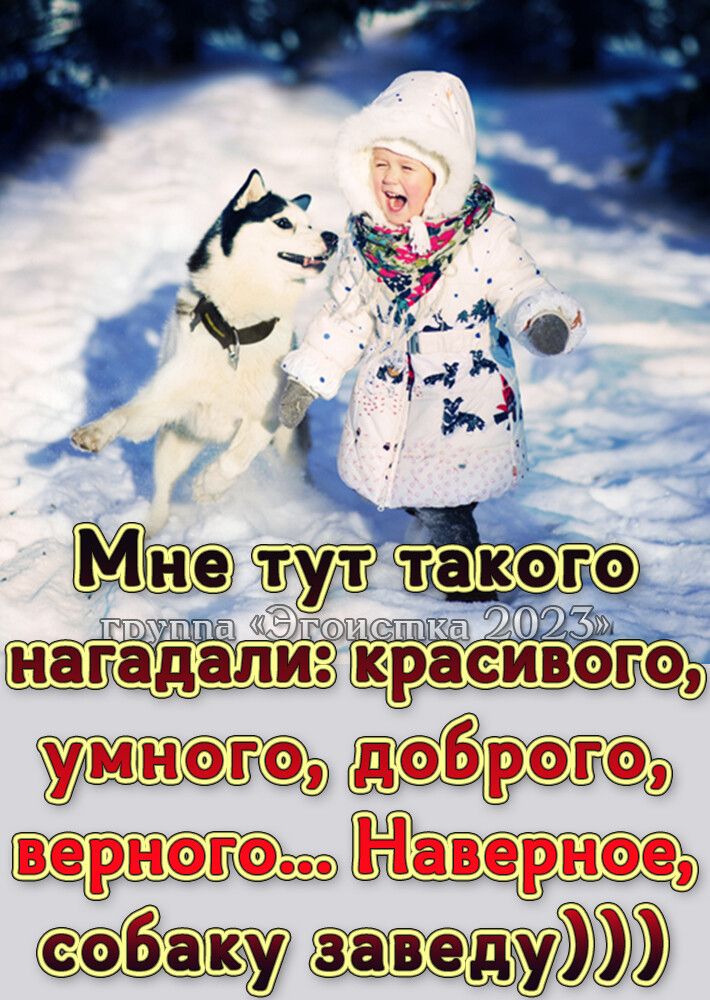 сйт