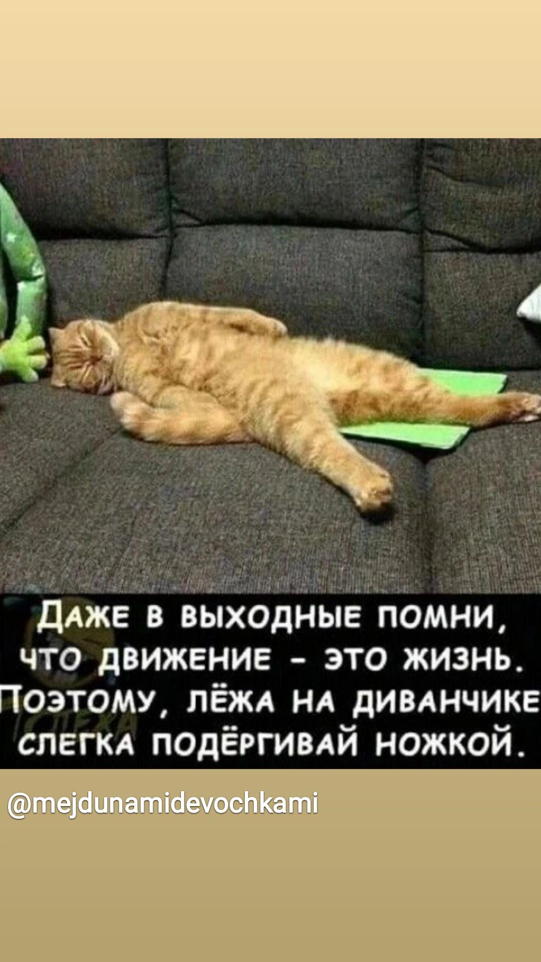 ы Ддже в выходные помни что движение это жизнь Поэтому пёжд НА дивлнчике спегкд подёргиндй ножкой