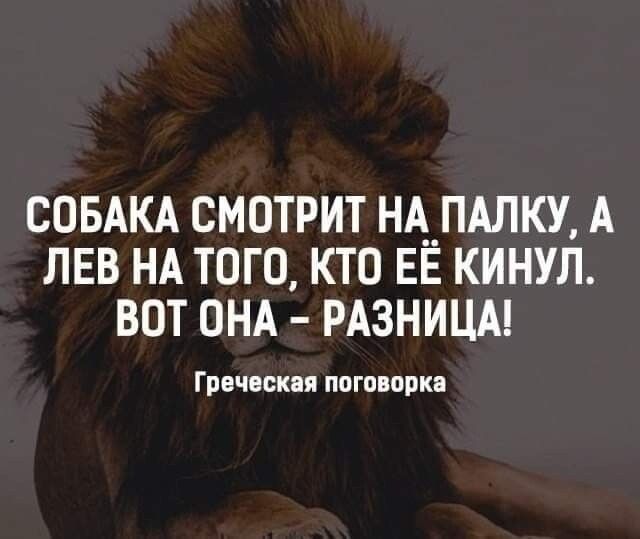 СОБАКА СМОТРИТ НА__ПАЛКУ А ЛЕВ НА ТОГО КТО ЕЕ КИНУЛ ВОТ ОНА РАЗНИЦА Грвчвскпя ппшпоркв