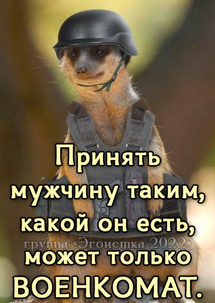 какои юн еЁть грпп_а Эгоистка 204 МОЖЕТ ТОП Ь КО 33 вовнкоммт