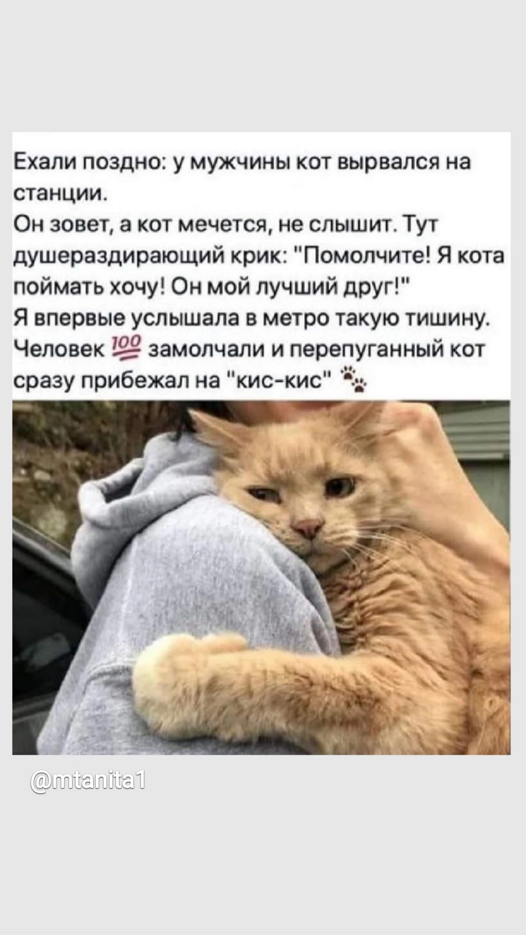 Ехали поздно у мужчины кот вырвался на станции Он зовет а кот мечется не слышит Тут душераздирающий крик Помолчите Я кота поймать хочу Он мой лучший друг Я впервые услышала в метро такую тишину Человек Ш замолчали и перепуганный кот сразу прибежал иа кис кис