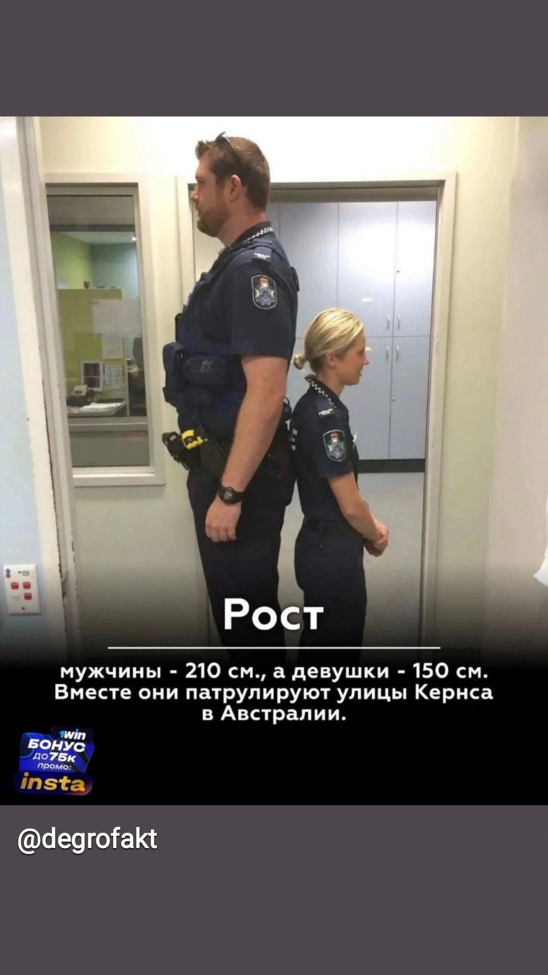 мужчины 210 см а девушки 150 см Вместе они патрулируют улицы Кериса в Австралии бецгоіакт