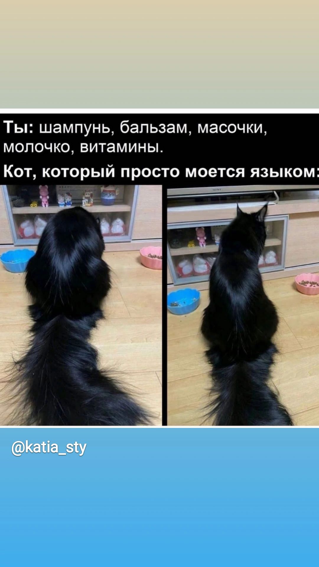 Ты шампунь бальзам масочки молочко витамины КОТ КОТОРЫЙ ПРОСТО МОЕТСЯ Я3ЬК0М