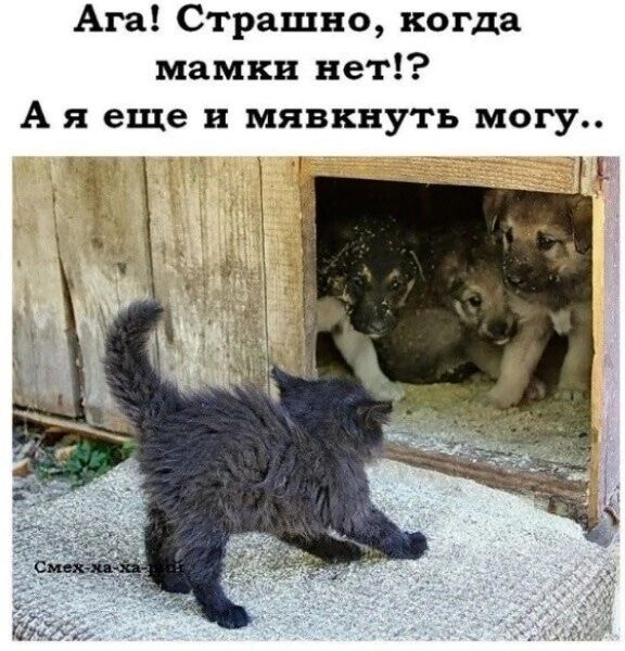 Ага Страшно когда мамки нет А я еще и мявкнуть могу