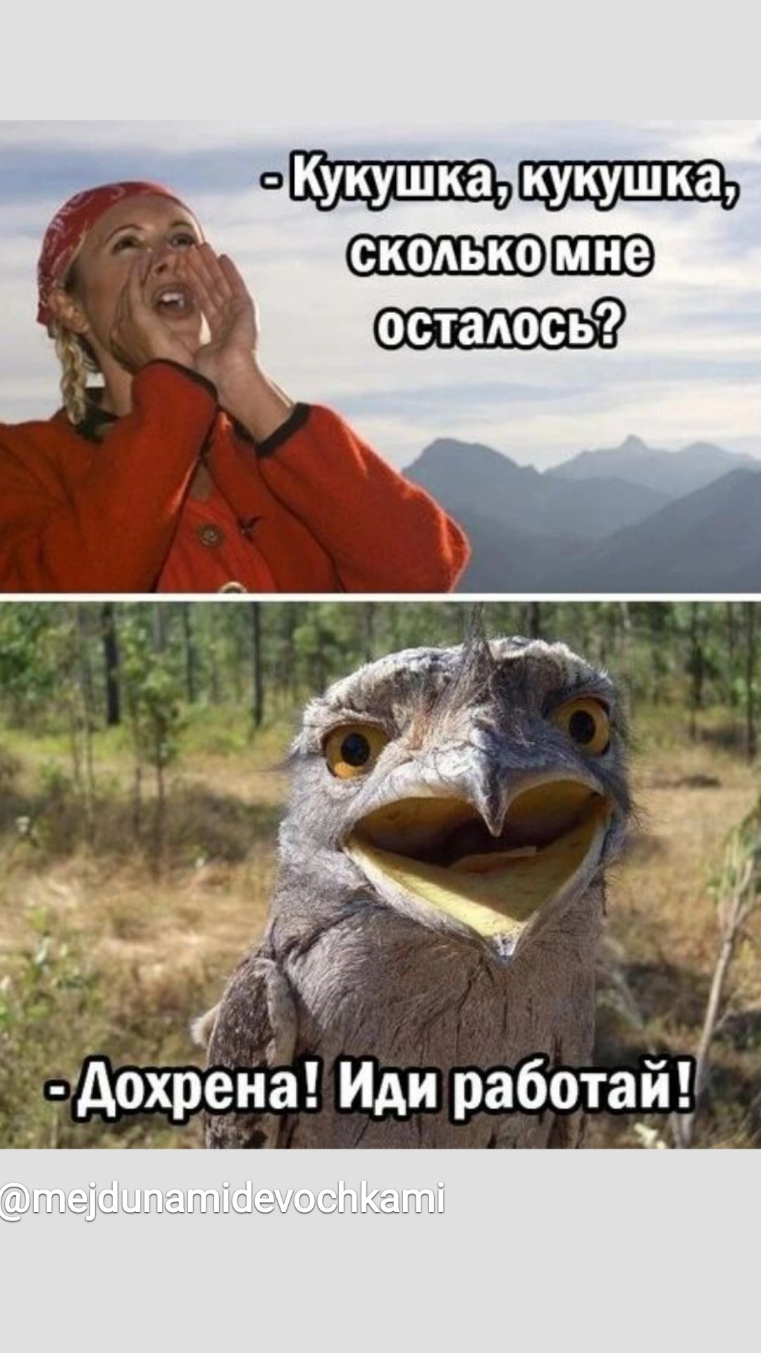 оіренё Иди работай