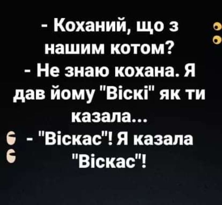 Коханий що з нашим котом Не знаю кохана Я дав йому Віскі як ти казала 6 ВіскасЯ казала Віскас О О