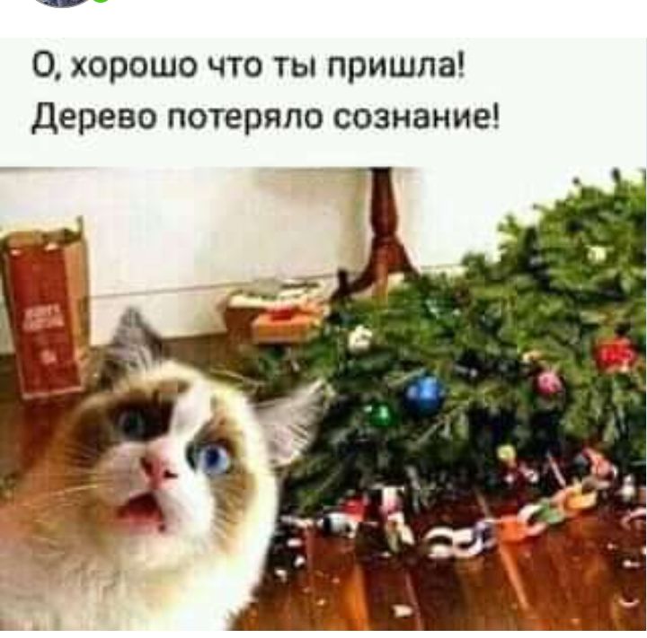 0 хорошо что ты пришла Дерево потеряло сознание