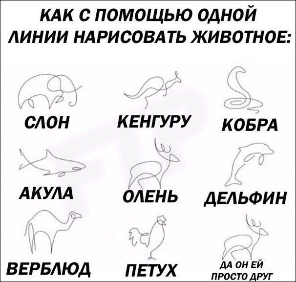 кдк с помощью одной линии ндрисовд ть животное слон квнгуру КОБРА АКУЛА ОАЕНь ДЕЛЬФИН вврвлюд пет ух ПРОСТО ДРУГ