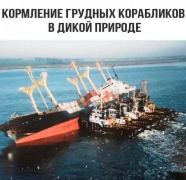 КОРМЛЕНИЕ ГРУДНЫХ КПРАБЛИКПВ В ЦИКОИ ПРИРОДЕ