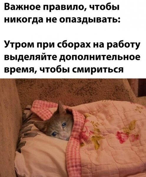 Важное правило чтобы никогда не опаздывать Утром при сборах на работу выделяйте дополнительное время чтобы смириться