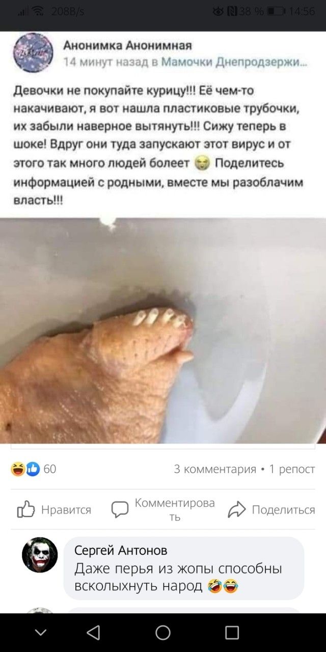 Анонимка Анонимная девочки не покупайте курицу Её чемто накачивают я вот нашла пластиковые трубочки их забыли наверное вытянуты Сижу теперь в шоке Вдруг они туда запускают этот вирус и от этого так много людей болеет Поделитесь информацией с родными вместе мы разоблачим власть А 0 гм3мтэритт цгост Комисщирдзп ннипз О шишки ть Сергей Антонов ДаЖе ПЕРЬЯ ИЗ ЖОПЫ СПОСОбНЫ вскопыхнуть народ 13