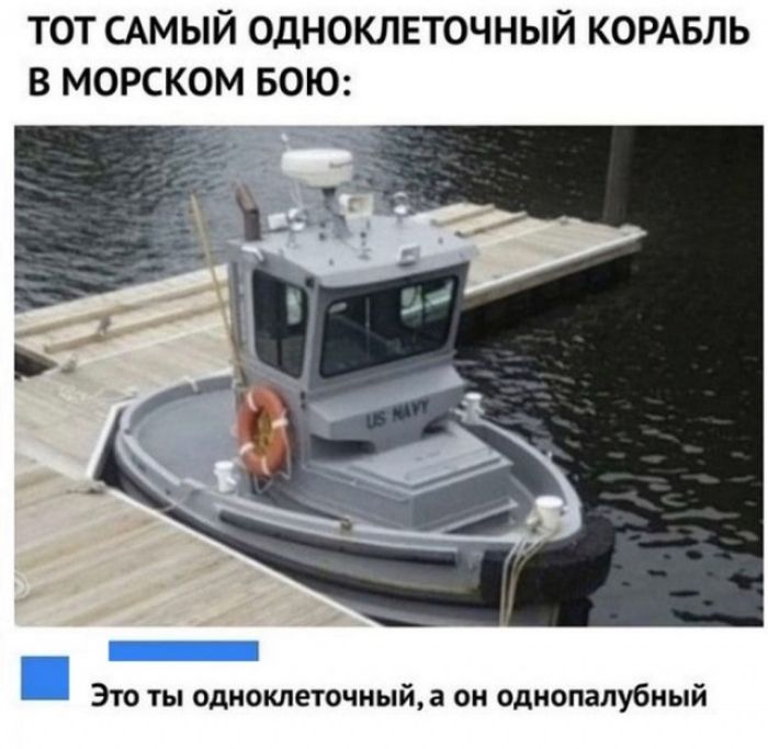 ТОТ САМЫЙ ОДНОКЛЕТОЧНЫЙ КОРАБЛЬ В МОРСКОМ БОЮ Это ты одноклеточныйа он одиопалубный