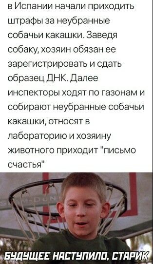 в Испании начали приходить штрафы за неубранные собачьи какашки Заведя собаку хозяин обязан ее зарегистрировать и сдать образец ДНКДалее инспекторы ходят по газонам и собирают неубранные собачьи какашки относят в лабораторию и хозяину животного приходит письмо счастья БНДНЩЕЕ НдЕТНПИЛП НДРЙ