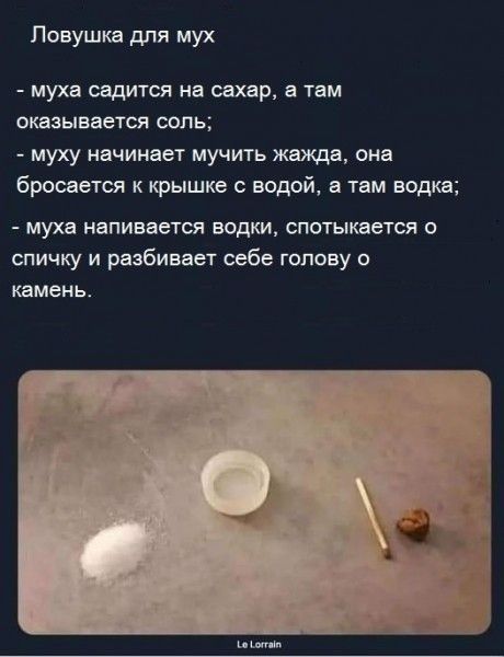Ловушка для мух муха садится на сахар в там оказывается соль муху начинае1 мучить жажда она бросается к крышке водой а там водка муха напивается водки СПОТЫКВЕТСЯ 0 спичку и разбивает себе голову в камень