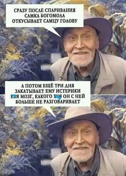 СРЮУПОСАЕ СПАПШАШ САМКА БОГОМОАА ОТКУСЬШАЕТ САМЦУ ГОАОПУ А ПОТОМ ЕЩЕ ТРИ АНЯ ЗШТЫВАЕТ ЕМУ СТЕП ПИ ЕБН МОЗГ ШОП ХЧ ПН С НЕЙ БОАЬПШ Ш РАЗГОВАРИВАЕТ