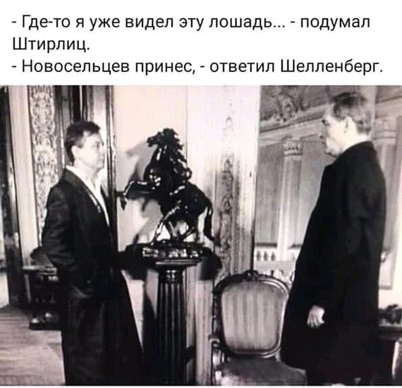 Где то я уже видел зту лошадь подумал Штирлиц Новосельцев принес ответил Шелленберг Ь
