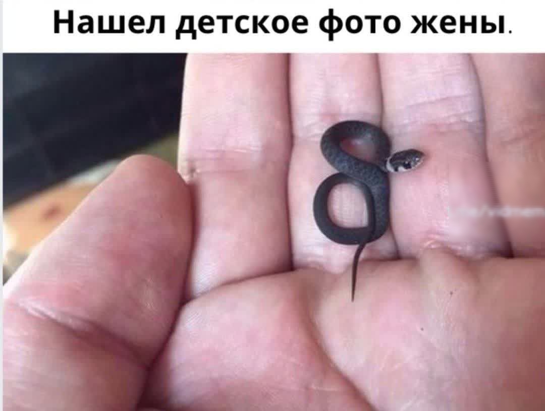Нашел детское фото жены _
