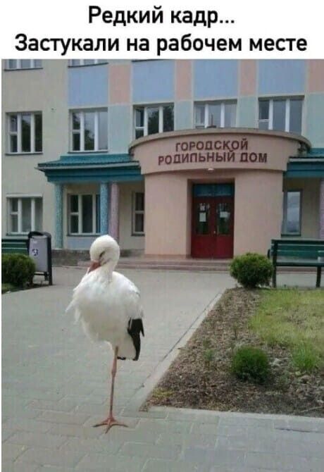 Редкий кадр Застукали на рабочем месте Ё __ _ і __ Ш гогопс ропипьны доп
