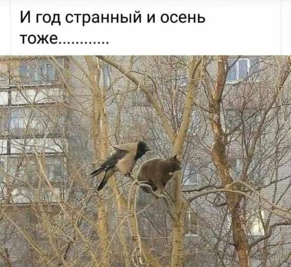 И год странный и осень тоже