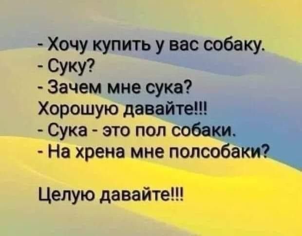 Хочу купить у вас собаку Суку Зачем мне сука Хорошую давайте Сука это пол собаки На хрена мне полсобаки Целую давайте