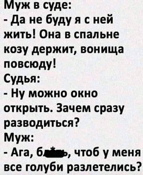 Муж в суде да не буду я с ней жить Она в спальне козу держит вонища повсюду Судья Ну можно окно открыть Зачем сразу разводиться Муж Ага 6 чтоб у меня все голуби разлетелись