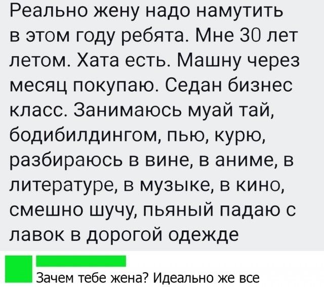 Реально жену надо намутить в этом году ребята Мне 30 лет летом Хата есть Машну через месяц покупаю Седан бизнес класс Занимаюсь муай тай бодибилдингом пью курю разбираюсь в вине в аниме в литературе в музыке в кино смешно шучу пьяный падаю с лавок в дорогой одежде _ Зачем тебе жена Идеально же все