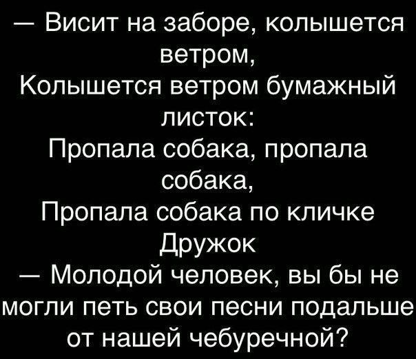 Висит на заборе колышется ветром Колышется ветром бумажный листок Пропала собака пропала собака Пропала собака по кличке дружок Молодой человек вы бы не могли петь свои песни подальше от нашей чебуречной