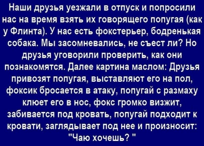 Наши друзья уезжали в отпуск и попросили нас на время взять их говорящего попугая как у Флинта У нас есть фокстерьер бодренькая собака Мы засомневались не съест ли Но друзья уговорили проверить как они познакомятся Далее картина маслом Друзья привозят попугая выставляют его на пол фоксик бросается в атаку попугай с размаху клюет его в нос фокс громко визжит забивается под кровать попугай подходит 