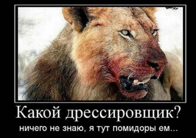 7 Какой дрессировщик ничего не знаю Я ТУТ ПОМИДОРЫ ем