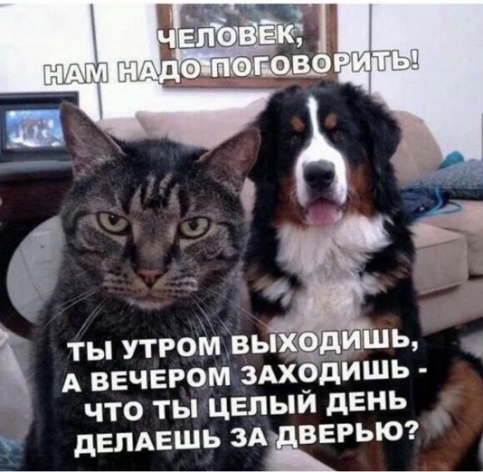 А ВЕЧЕРОМ 3АХ9ДИШЬ ЧТО ТЫ ЦЕПЫИ дЕНЬ дЕЛАЕШЬ ЗАЁВЕРЬЮ ты утром выходи ь