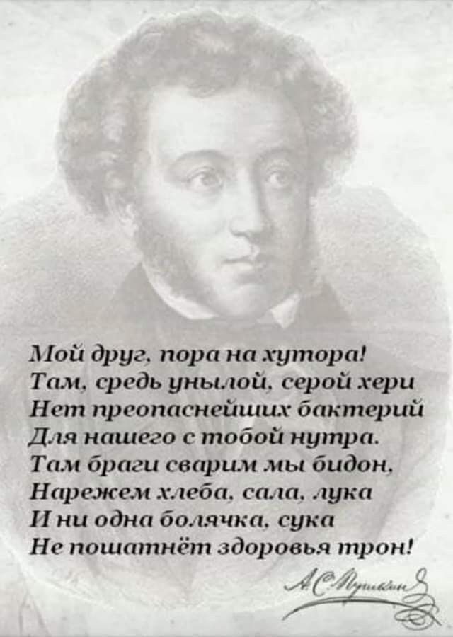 діой друг пора на хутора Там средь унылой серой хери Нет преопаснейших бактерий Для нашего с тобой нутра Там браги сварим мы бидон Нарежем хлеба сшш лука И ни одна болячки сука Не пошатнёт здоровья трон К Л