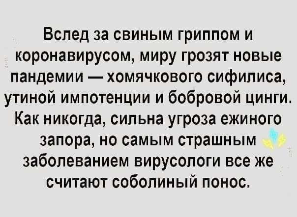 Вслед за свиным гриппом и коронавирусом миру грозят новые пандемии хомячкового сифилиса утиной импотенции и бобровой цинги Как никогда сильна угроза ежиного запора но самым страшным З заболеванием вирусологи все же считают соболиный понос