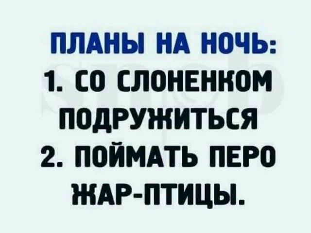 ПЛАНЫ НА НОЧЬ 1 со СЛОНЕННОМ ПОДРУЖИТЬСЯ 2 ППЙМАТЬ ПЕРО ШАР ПТИЦЫ