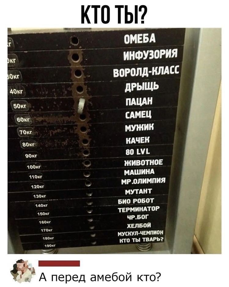 КТП ТЫ ОМЕБА ИНФУ30РИЯ вогопд илдсс дгыщь ПАПА САМЕЦ МУЖИК ИАЧЕК 80 И ЖИВОПЮЕ МАШИНА МР ОЛИМПИЯ МУТАНТ БИО РОБОТ ТЕРМИНАТОР ЧЕБОГ ХЕЛБОИ мускул чении кто ты твтьт А перед амебой кто