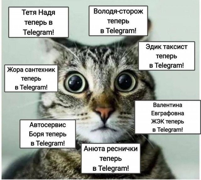 Тетя Надя Володя сторож теперь 5 теперь Тее9гат В Тее9гат Эдик таксист теперь в Тее9гагп Жора сантехник теперь в Тее9гат Валентина Евграфовна ЖЭК теперь Автосервис в Теіешат Боря теперь Анюта реснички теперь в Тее9гат