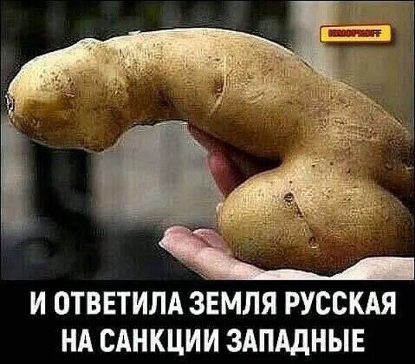 И ОТВЕТИЛА ЗЕМЛЯ РУССКАЯ НА САНКЦИИ ЗАПАДНЫЕ