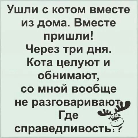 Ушли с котом вместе из дома Вместе пришли Через три дня Кота целуют и обнимают со мной вообще не разговаривают Где хг справедливость3